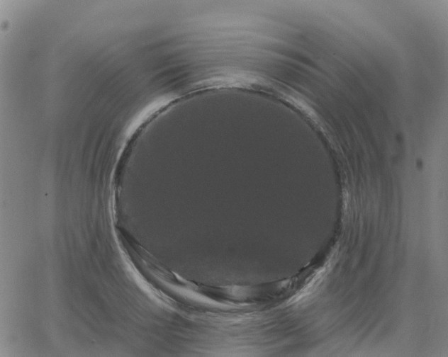 X0000062831034200601201607