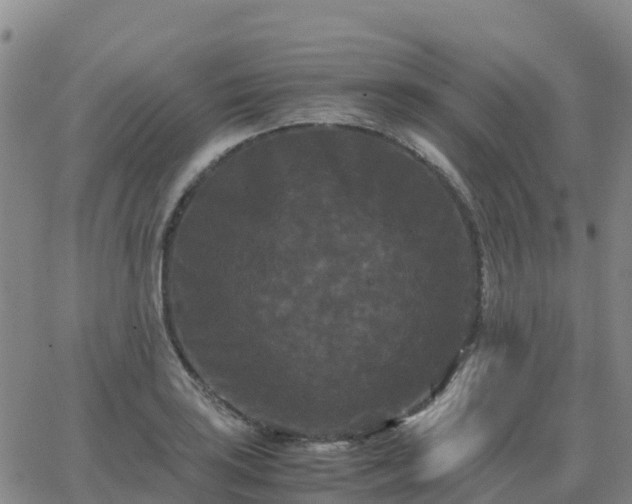 X0000062831035200601201607