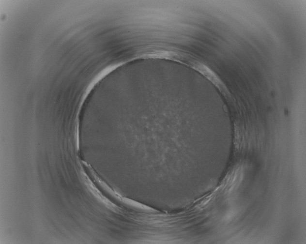 X0000062831036200601201607