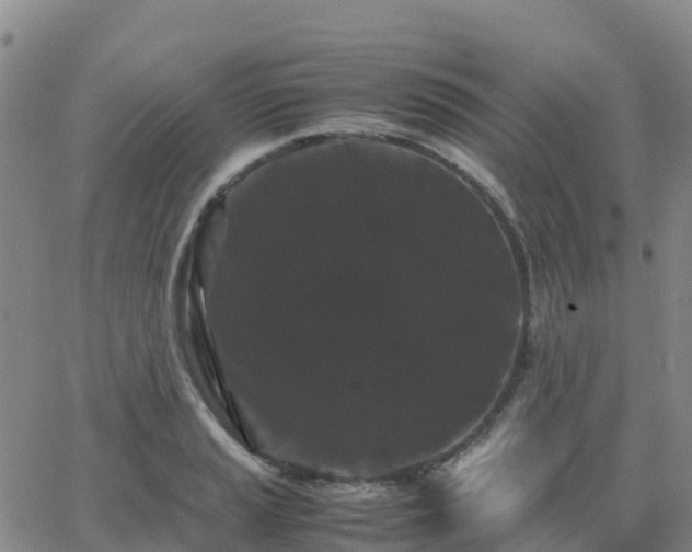 X0000062831037200601201607