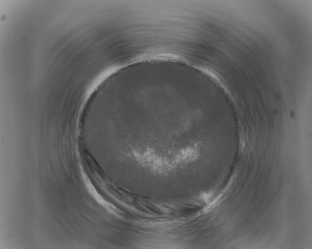 X0000062831038200601201607