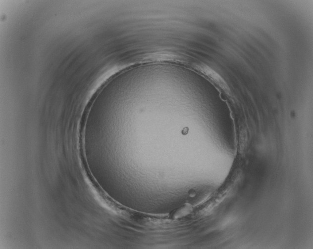 X0000062831039200601201607