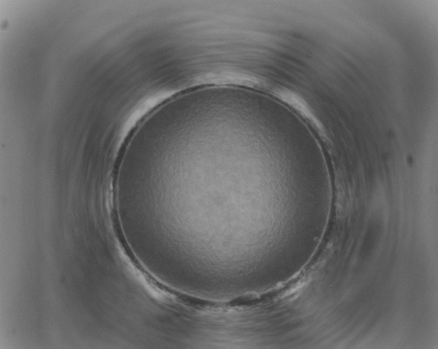 X0000062831040200601201608