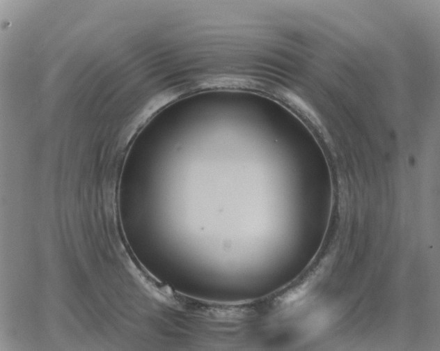 X0000062831041200601201608