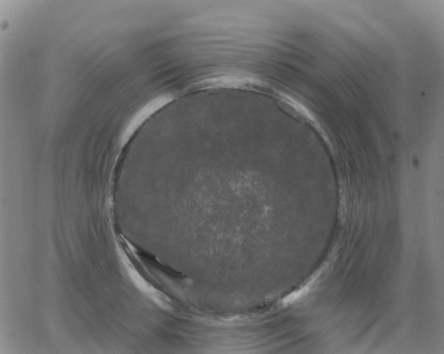 X0000062831042200601201608