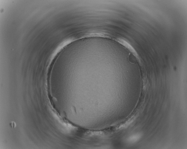 X0000062831043200601201608