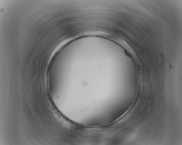 X0000062831044200601201608