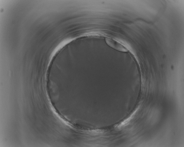 X0000062831045200601201608