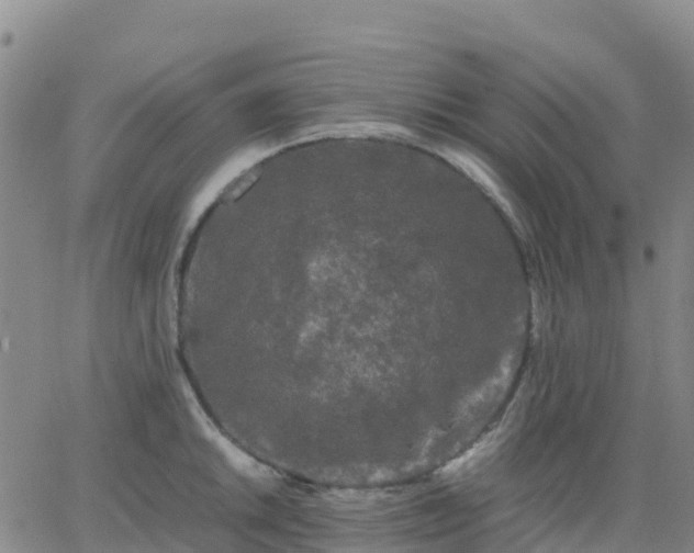 X0000062831046200601201608