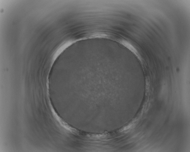 X0000062831047200601201608