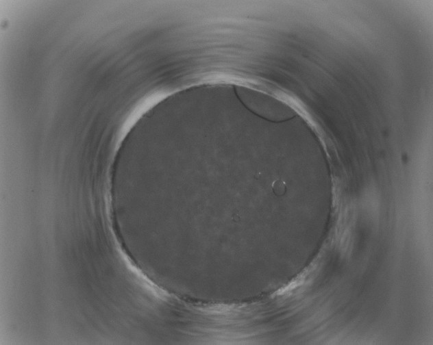 X0000062831048200601201608