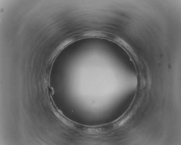 X0000062831049200601201608