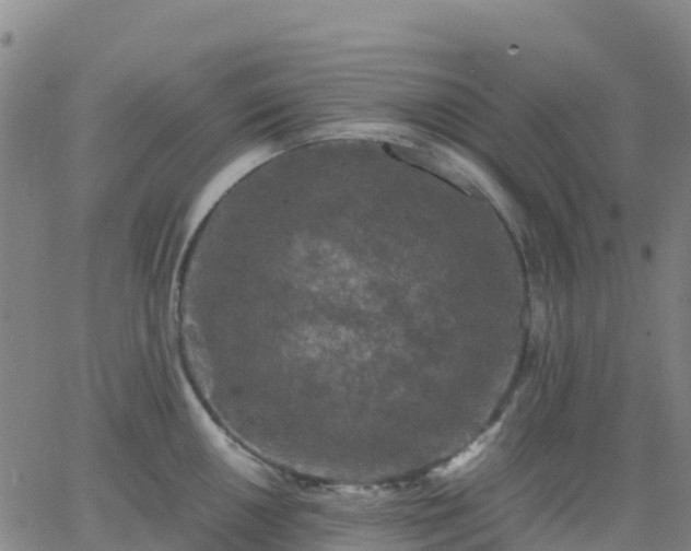 X0000062831050200601201608