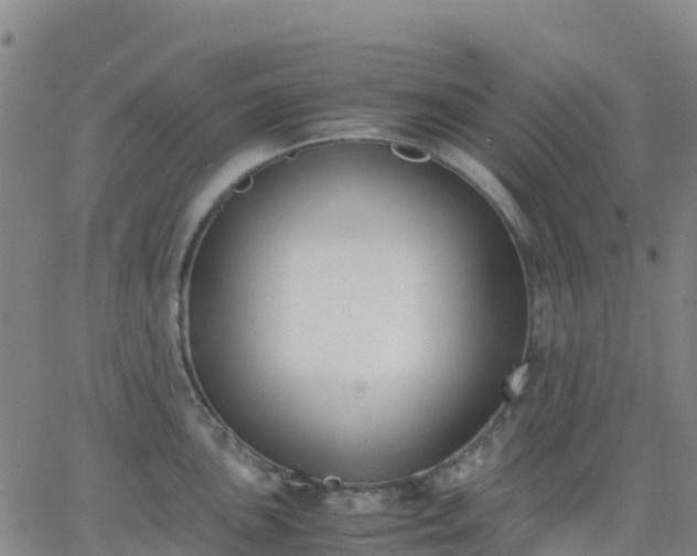 X0000062831051200601201608