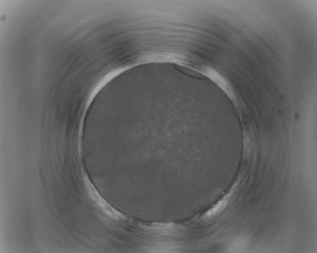 X0000062831052200601201608