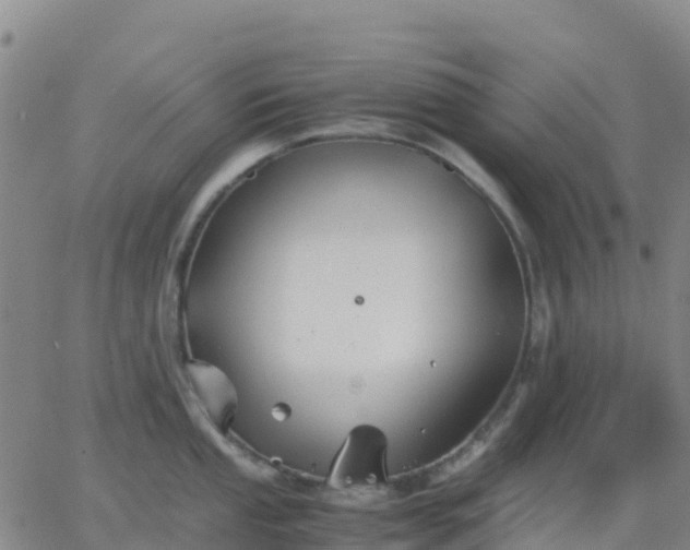 X0000062831053200601201608