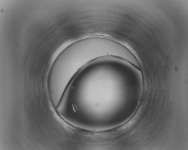 X0000062831054200601201608