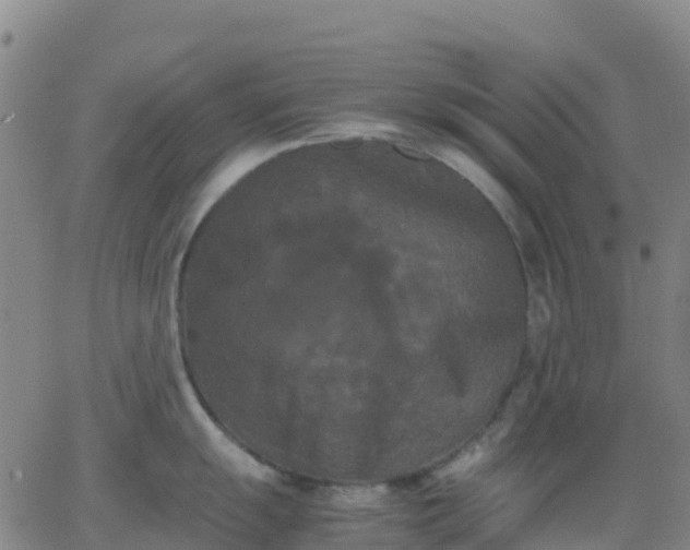 X0000062831055200601201608