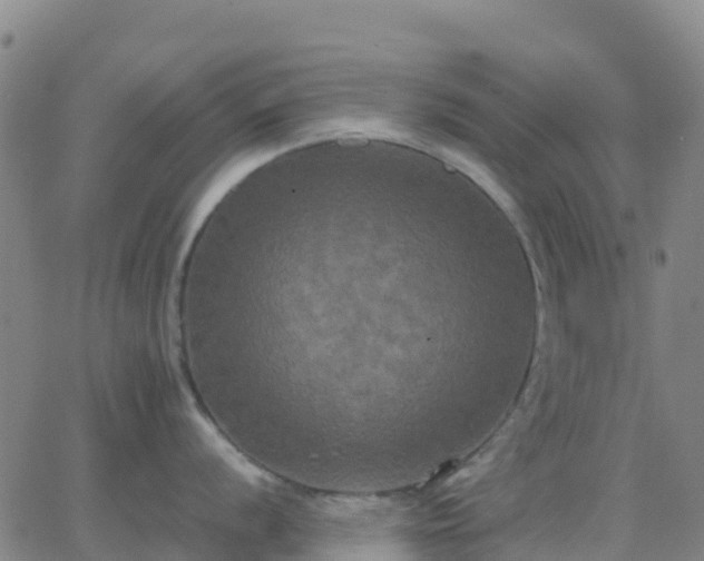 X0000062831056200601201608