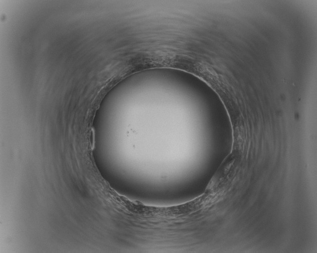 X0000062831057200601201607