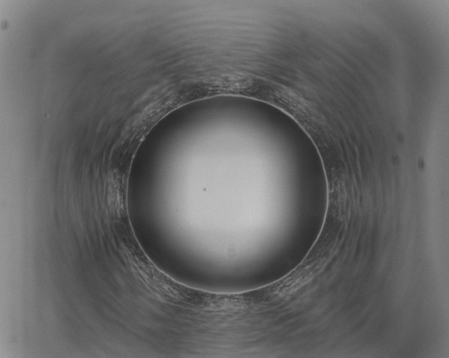 X0000062831058200601201607