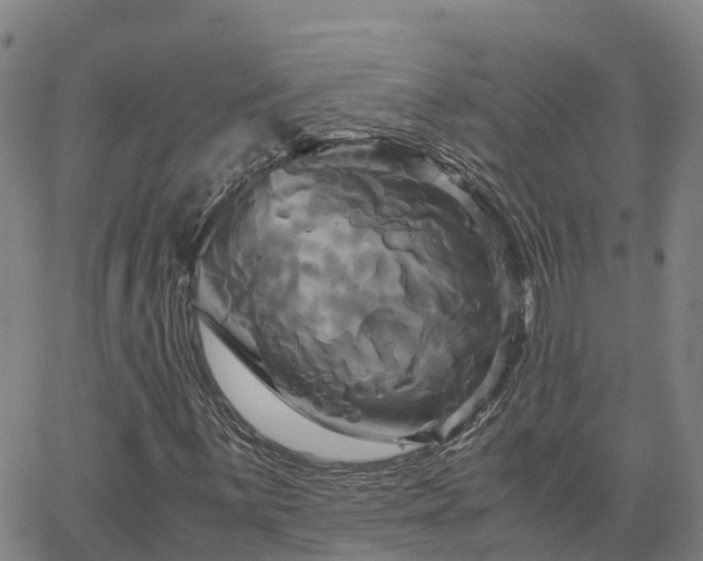 X0000062831059200601201607