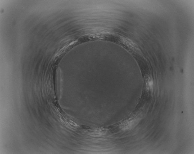 X0000062831060200601201607