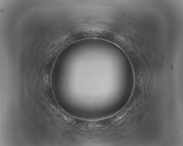 X0000062831061200601201607