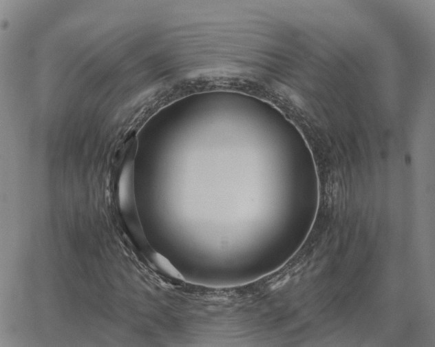 X0000062831062200601201607