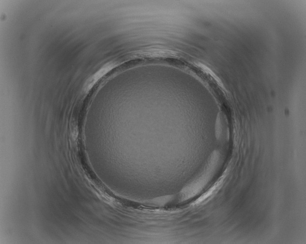 X0000062831065200601201607