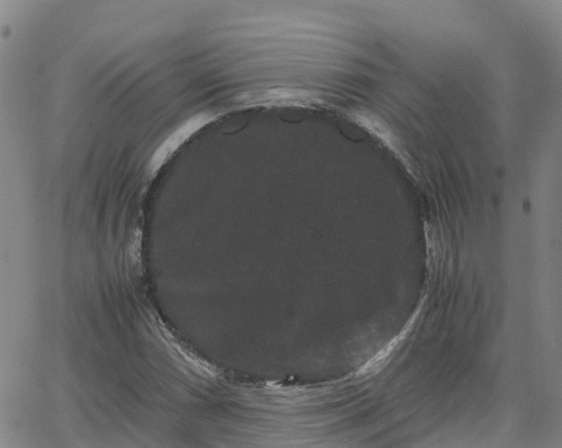 X0000062831066200601201607