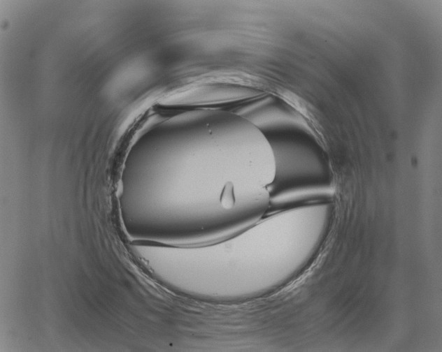 X0000062831067200601201607