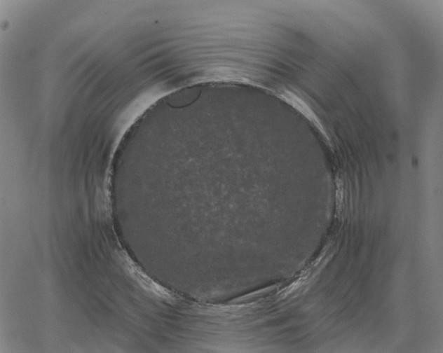 X0000062831068200601201607