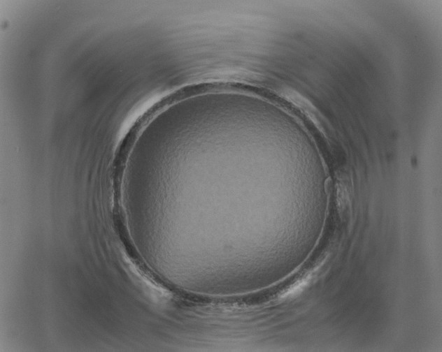 X0000062831069200601201607