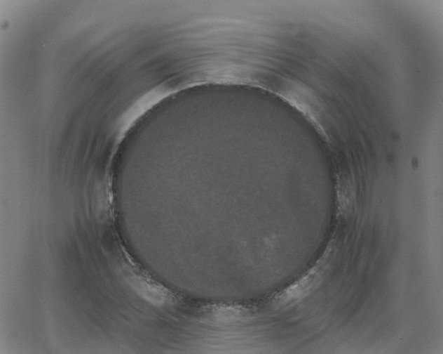 X0000062831070200601201607