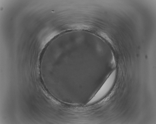 X0000062831071200601201607