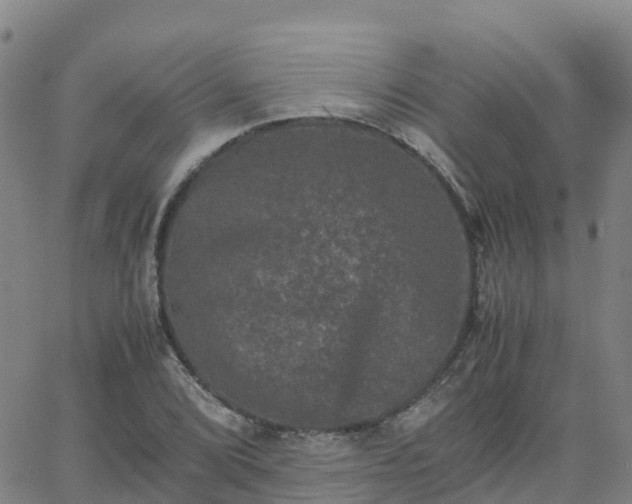 X0000062831072200601201607