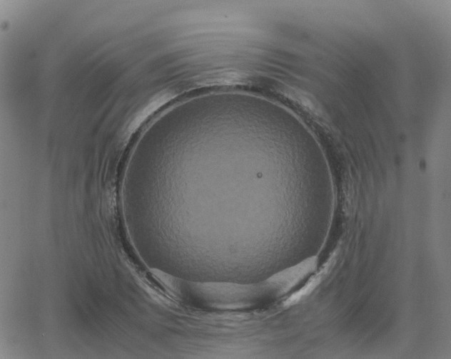 X0000062831073200601201607