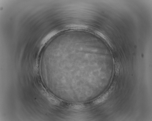 X0000062831074200601201607