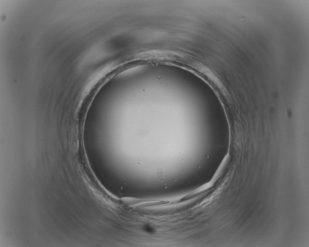 X0000062831075200601201607