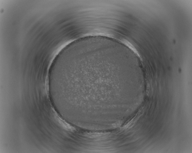 X0000062831076200601201607