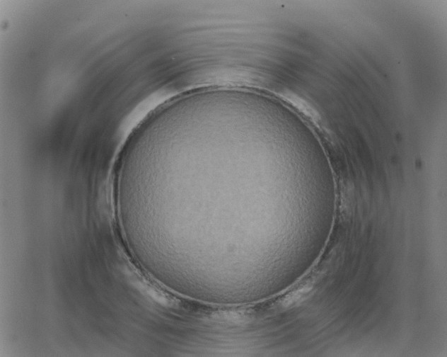 X0000062831078200601201607