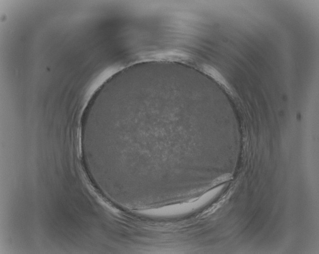 X0000062831079200601201607