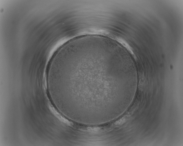 X0000062831080200601201607