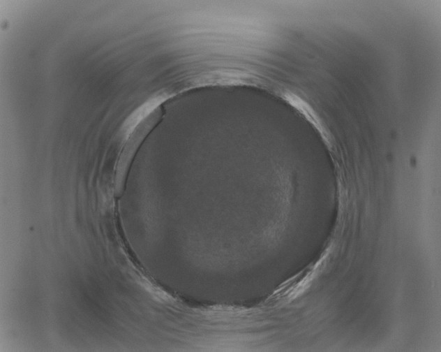 X0000062831081200601201607