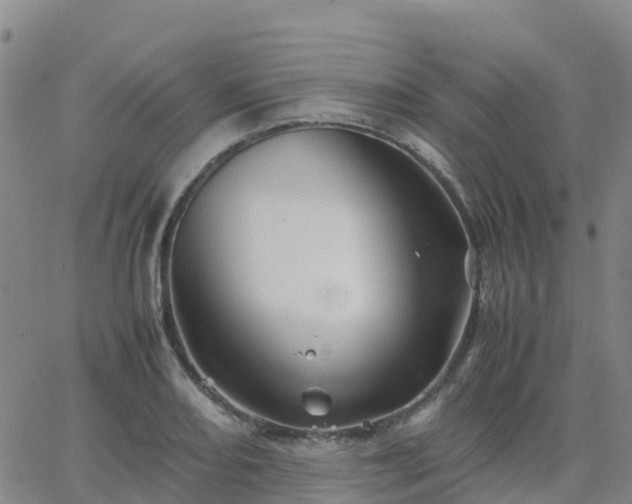 X0000062831082200601201607