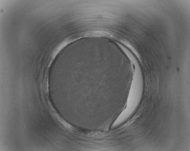 X0000062831083200601201607