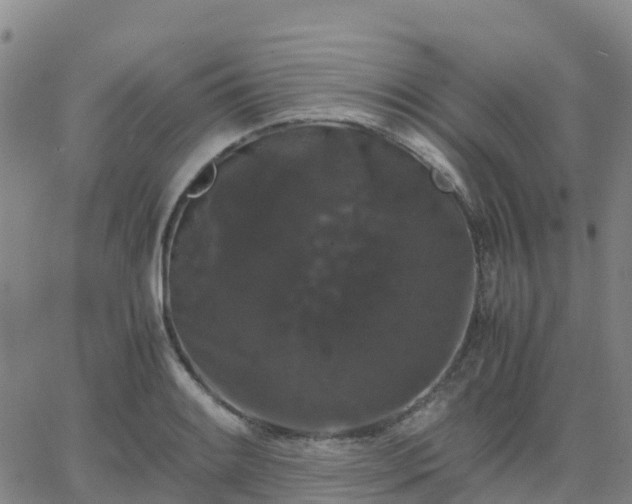 X0000062831084200601201607