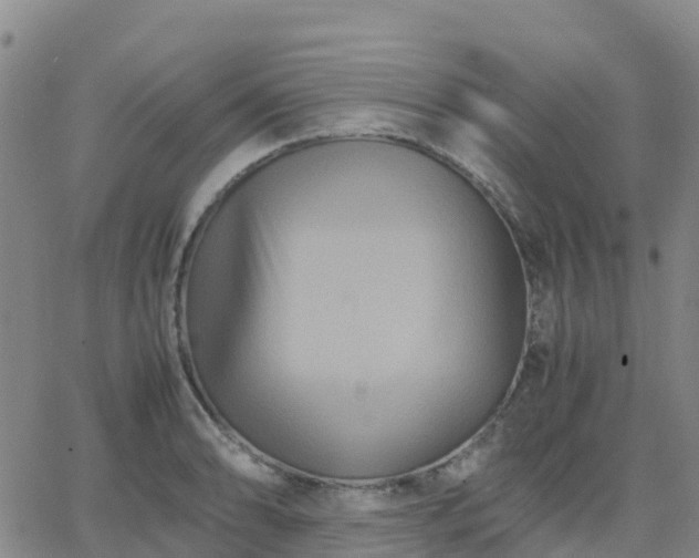 X0000062831086200601201606