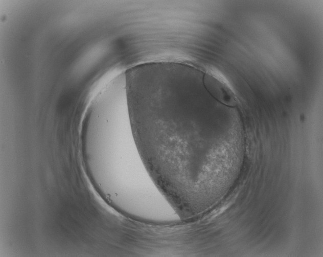 X0000062831087200601201606